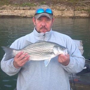 Meet your Posher, Kenny